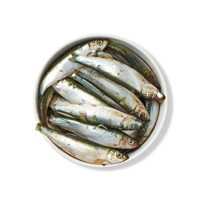 Sprats sachet 2kg