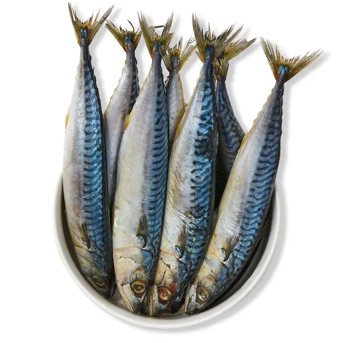 Maquereaux sachet 2kg