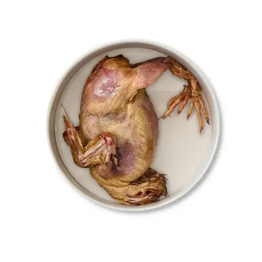 [B500] Sachet de 4 cailles