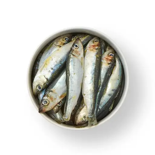 [H120] Harengs sachet 2kg