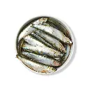 EB_Sprats_7221_690x690px_300dpi.webp