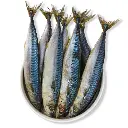 EB_MaquereauxSachet_7229_690x690px_300dpi.webp