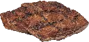 dibo-poumon-boeuf-4.webp