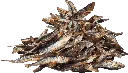 dibo-fisch_1920.webp