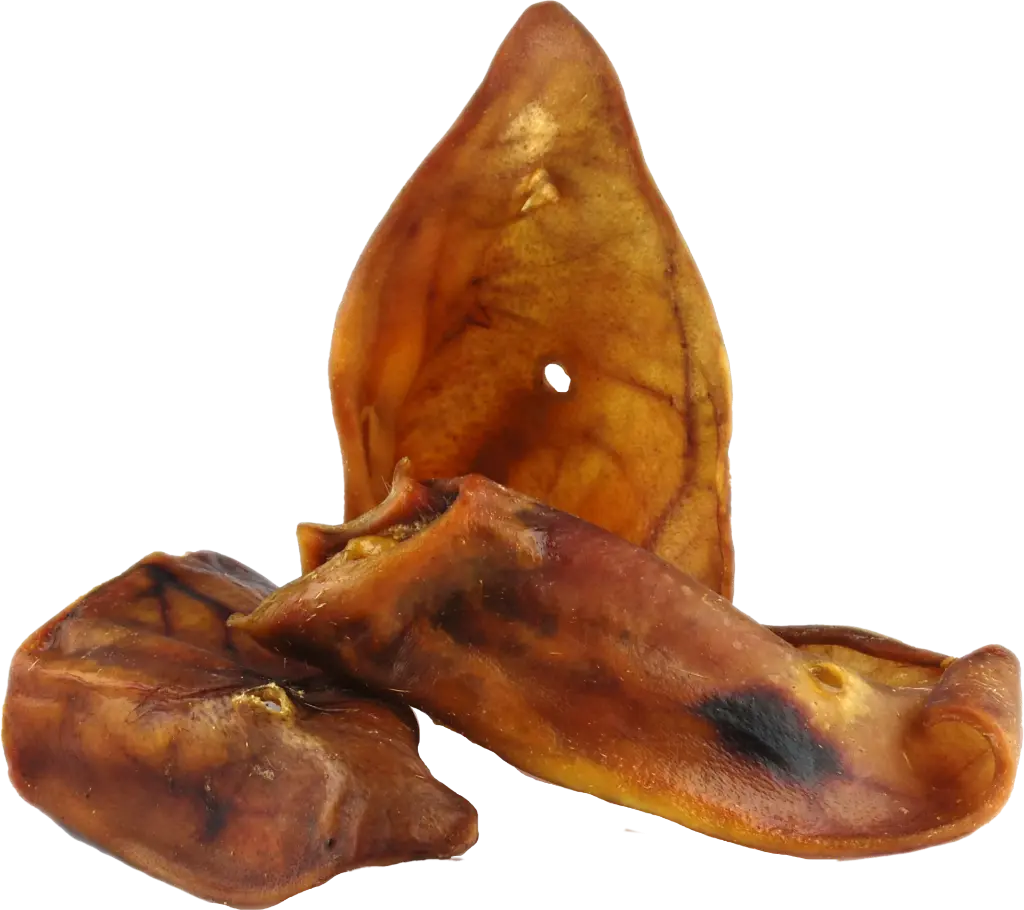schweineohren-lose_1920.webp