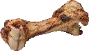 dibo-mamut-knochen_1920.webp