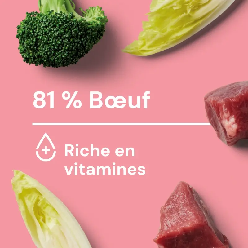 Nutriment_Fresh_Block_Beef – 12.webp