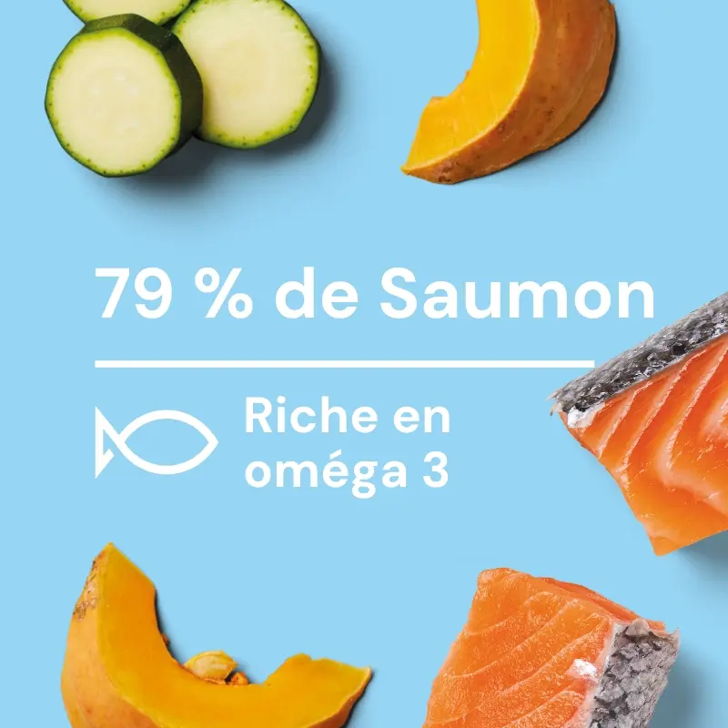 Nutriment_Fresh_Block_Salmon – 12.webp