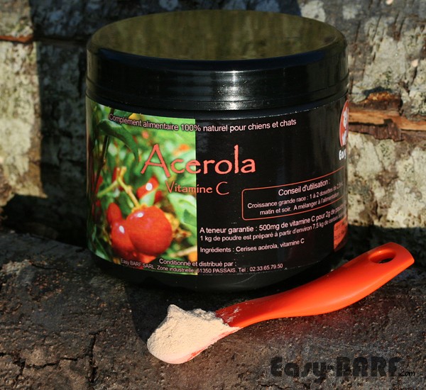 Acérola - Vitamine C