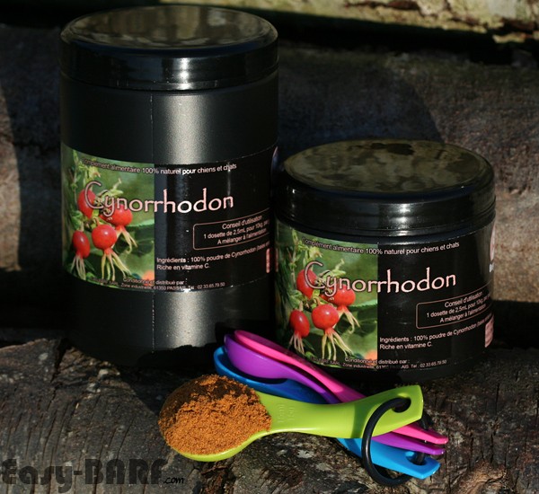 Cynorrhodon (Vitamine C)