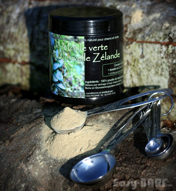 Moule Verte de Nouvelle Zélande