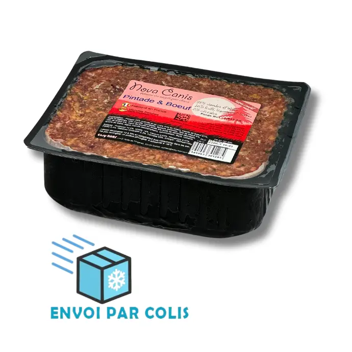 Nova Canis Pintade & Boeuf