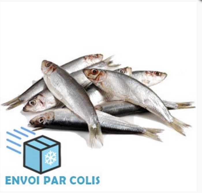 Sprats sachet 2kg