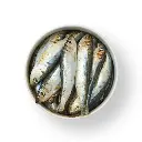 Harengs sachet 2kg