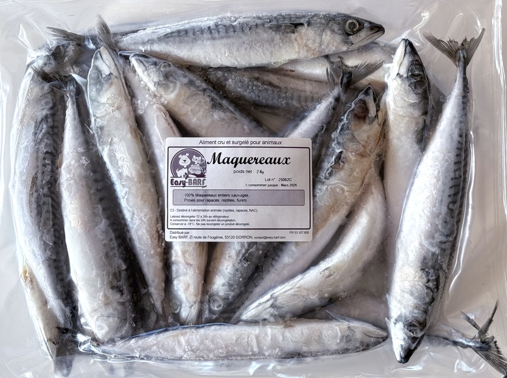 Maquereaux sachet 2kg