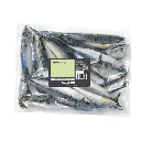 Maquereaux sachet 2kg