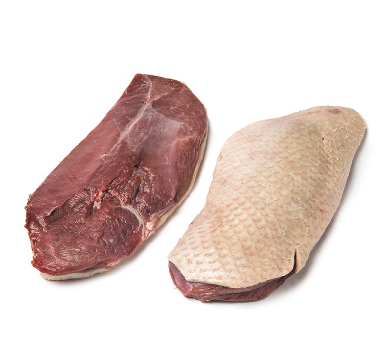Filets de canard 10Kg