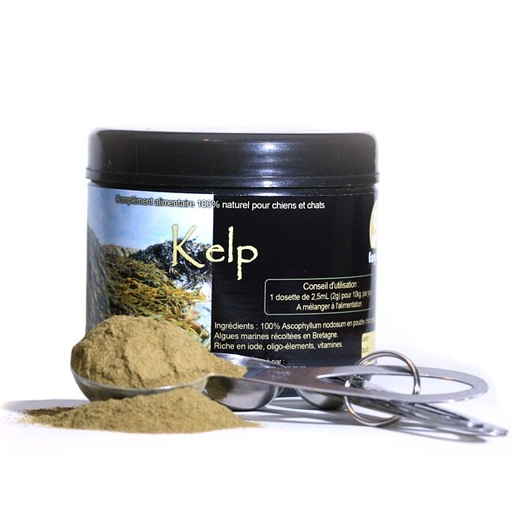 [P050] Algues marines : Kelp 500g