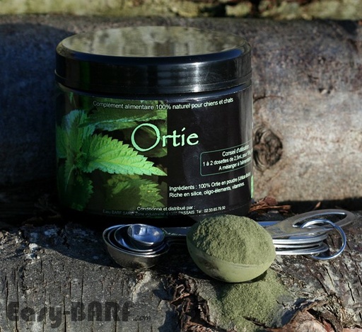 [P060] Ortie