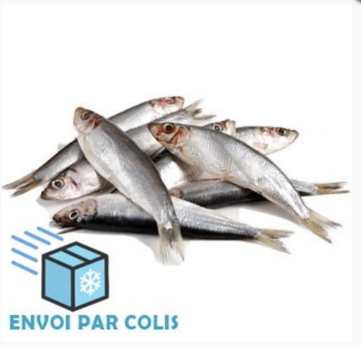 [H110] Sprats sachet 2kg
