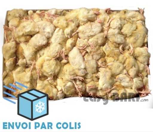 [H130] Poussins sachet 2kg